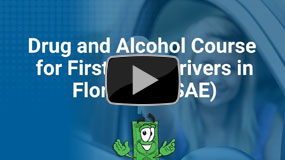 Drug and Alcohol Course