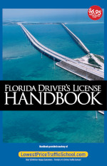 2020 Florida Driver's Handbook Online (FL Driver's Manual)